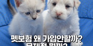 펫보험 문제점 알리는 글의 썸네일로 파란색 바탕에 흰색고양이, 흰색강아지가 같이 있는 사진
